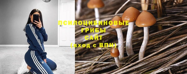 альфа пвп Елабуга