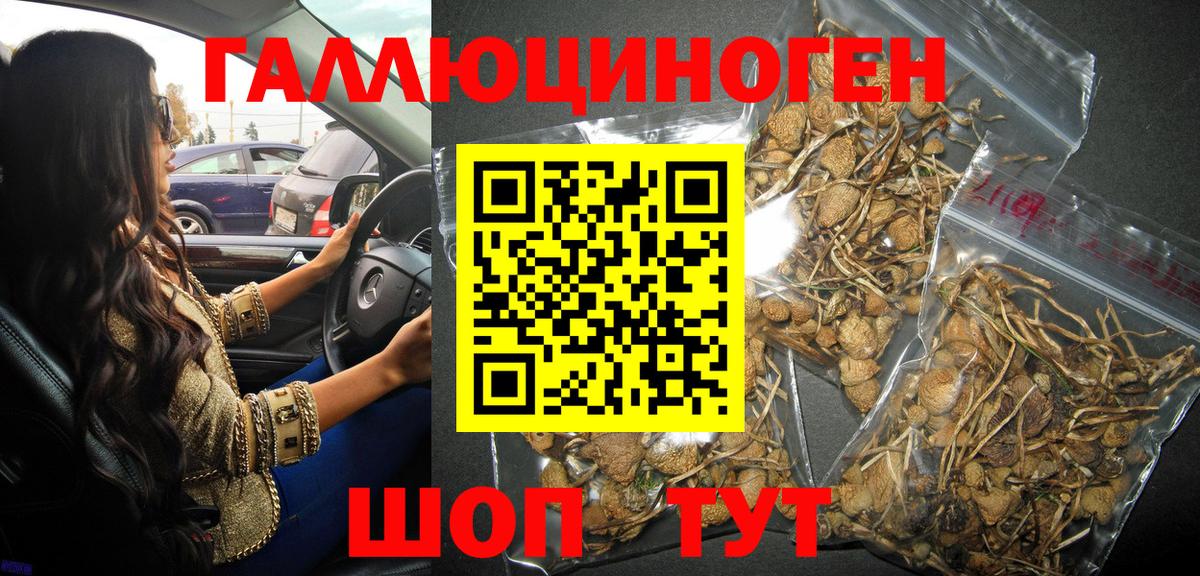 Псилоцибиновые грибы мухоморы Краснознаменск