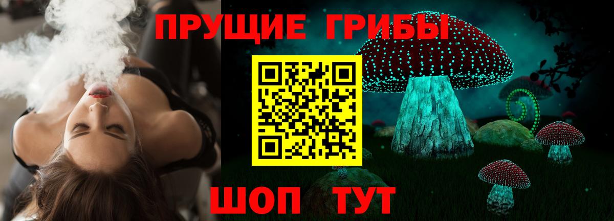 Галлюциногенные грибы Psilocybine cubensis  цены наркотик  Вход с VPN  Краснознаменск  Галлюциногенные грибы Magic Shrooms 